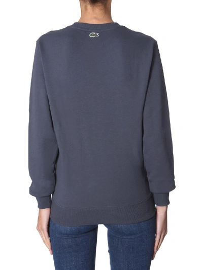 Shop Lacoste Crew Neck Sweatshirt In Blu