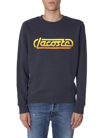 Shop Lacoste Crew Neck Sweatshirt In Blu