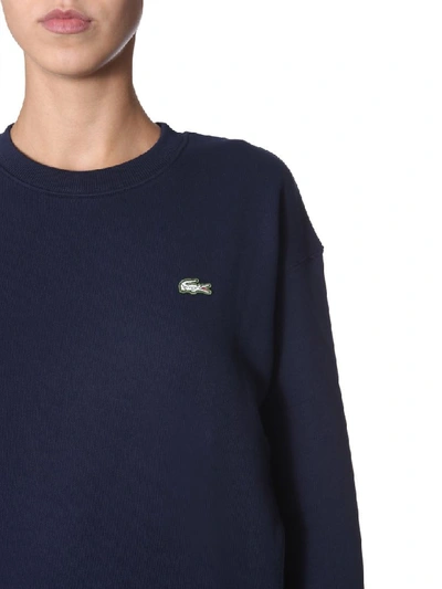 Shop Lacoste Crew Neck Sweatshirt In Blu