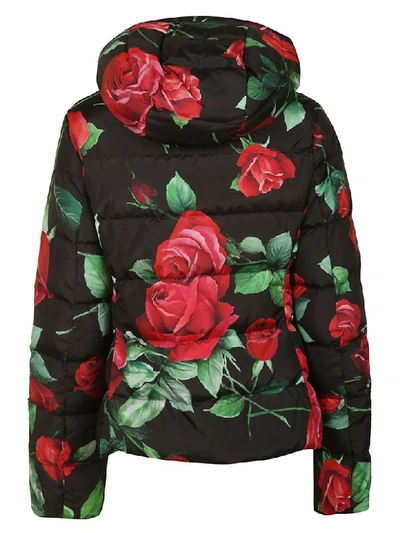 Shop Dolce & Gabbana Rose Print Padded Jacket In Black/multicolor