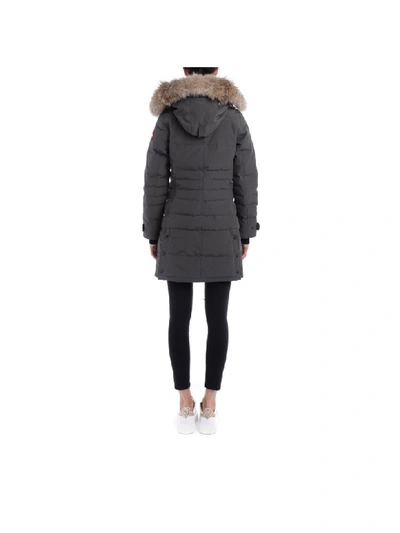 Shop Canada Goose Parka  Lorette Grigio Grafite Con Cappuccio E Pelliccia