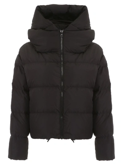 Shop Bacon Cloud Jacket In Black (black)