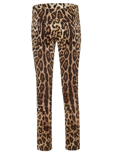 Shop Dolce & Gabbana Leopard Print Trousers In Multicolor