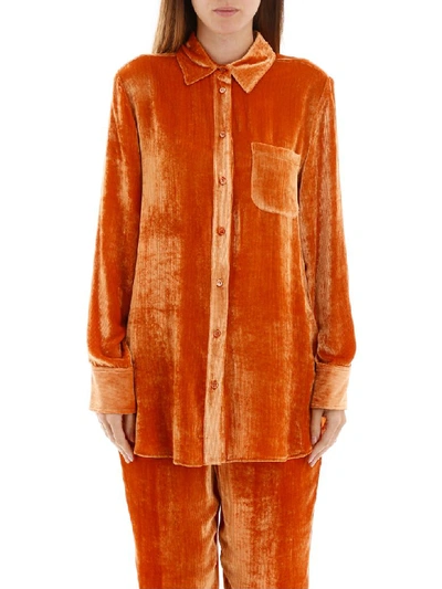 Shop Sies Marjan Sander Velvet Shirt In Dusty Orange (orange)