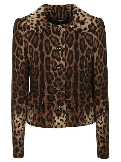 Shop Dolce & Gabbana Leopard Print Jacket In Multicolor