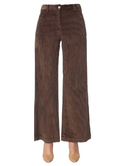 Shop Jejia Ribbed Velvet Pants In Marrone