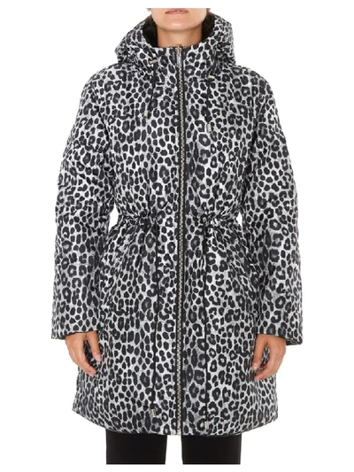 Shop Michael Michael Kors Cheetah Print Down Jacket In Multicolor