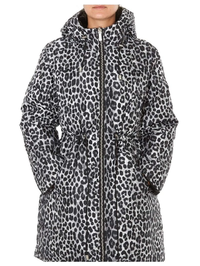 Shop Michael Michael Kors Cheetah Print Down Jacket In Multicolor