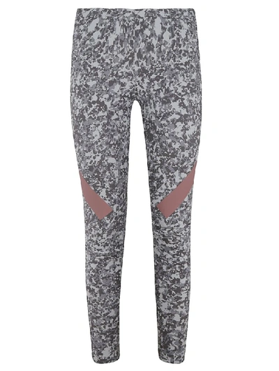 Shop Adidas Originals Alpha Skin Leggings In Grey