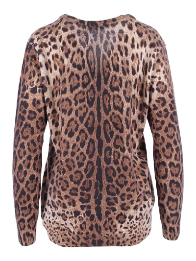 Shop Dolce & Gabbana Cashmere Sweaters In Leo Print