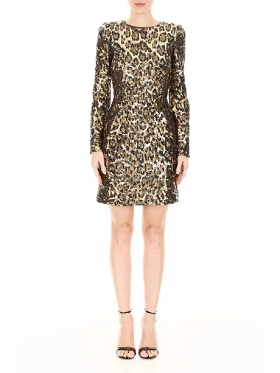 Shop Dolce & Gabbana Leopard Print Sequins Dress In Maculato (gold)