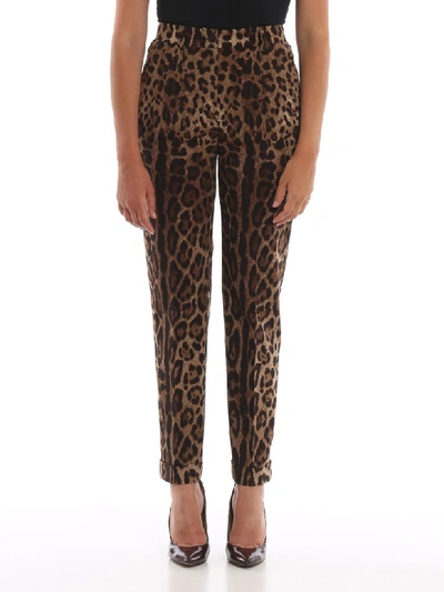 Shop Dolce & Gabbana Pants In M Leo New