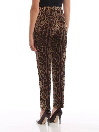 Shop Dolce & Gabbana Pants In M Leo New