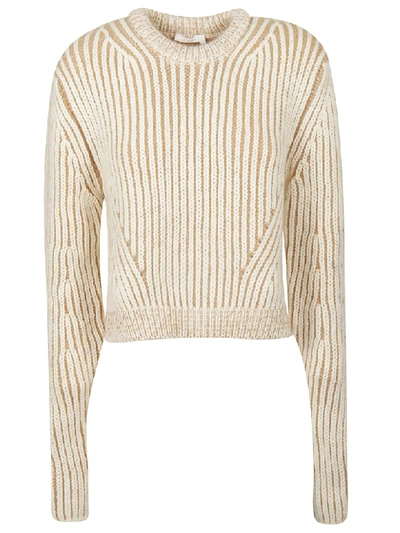 Shop Chloé Ribbed Knit Jumper In Muddy Beige