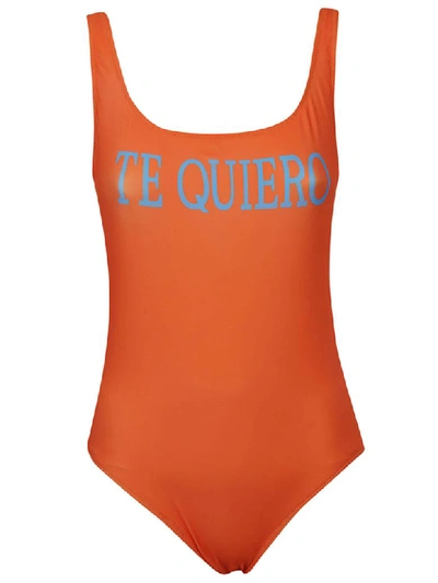 Shop Alberta Ferretti Graphic Swimsuit In Orange