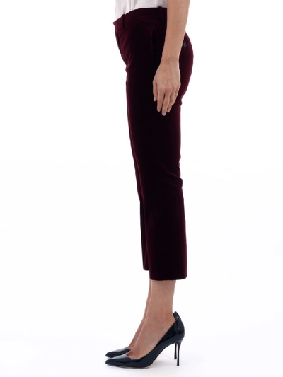 Shop Saint Laurent Velvet Burgundy Cropped Pants In Bordeaux