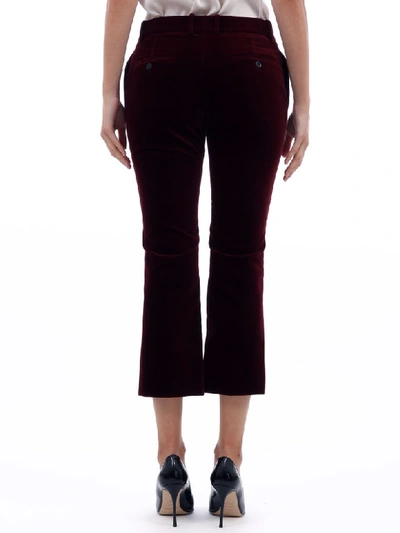 Shop Saint Laurent Velvet Burgundy Cropped Pants In Bordeaux