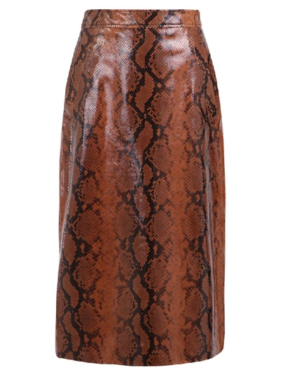 Shop Dsquared2 Snakeskin Print Skirt In Brown