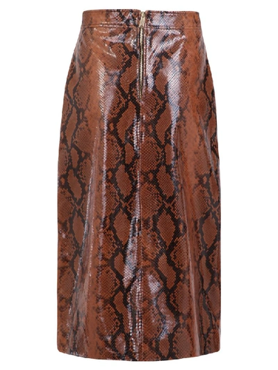 Shop Dsquared2 Snakeskin Print Skirt In Brown