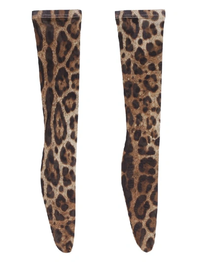 Shop Dolce & Gabbana Leopard Print Knee-high Socks In Multicolor