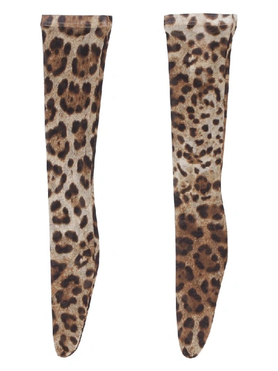 Shop Dolce & Gabbana Leopard Print Knee-high Socks In Multicolor