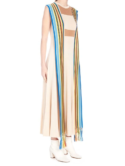 Shop Loewe Dress In Multicolor