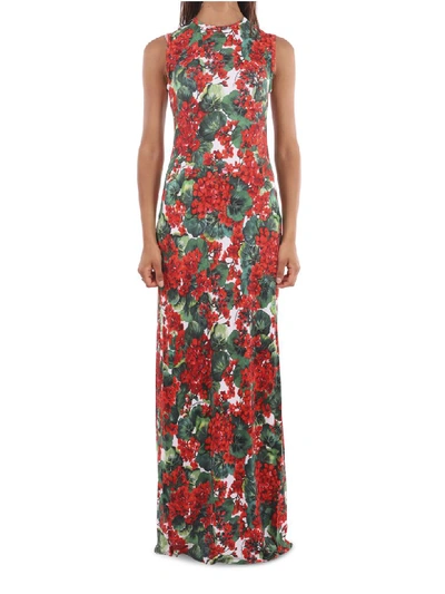 Shop Dolce & Gabbana Long Geranium Dress In Multi