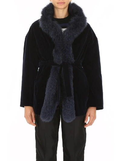 Shop Ava Adore Velvet Coat With Fox Fur In Blu (blue)