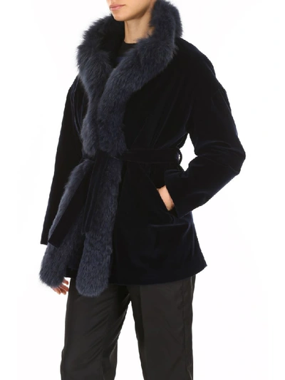 Shop Ava Adore Velvet Coat With Fox Fur In Blu (blue)