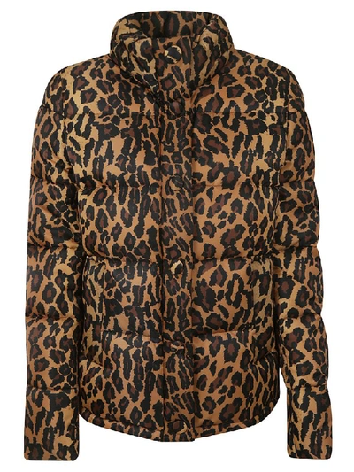 Shop Miu Miu Leopard Print Down Jacket In Kaki