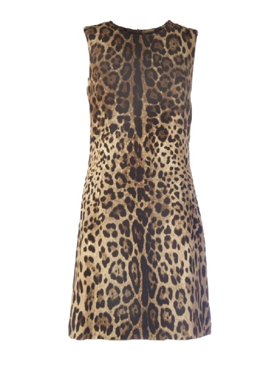 Shop Dolce & Gabbana Leopard Print Dress In M Leo New
