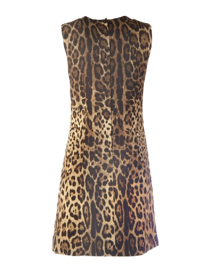 Shop Dolce & Gabbana Leopard Print Dress In M Leo New