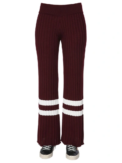 Shop Golden Goose Aip Trousers In Viola