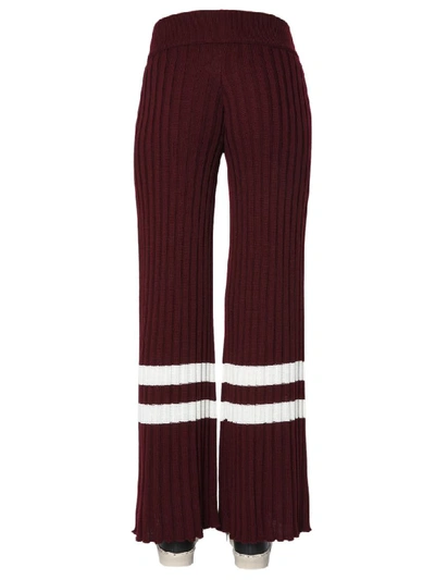 Shop Golden Goose Aip Trousers In Viola