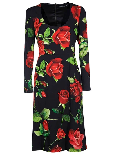 Shop Dolce & Gabbana Rose Print Dress In Black