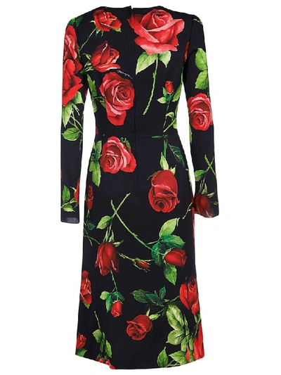 Shop Dolce & Gabbana Rose Print Dress In Black