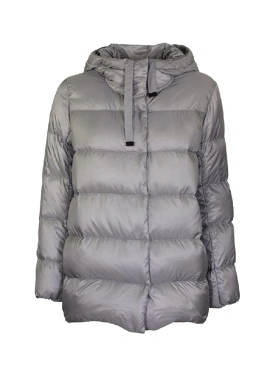 Shop Max Mara Seicar Grey Jacket