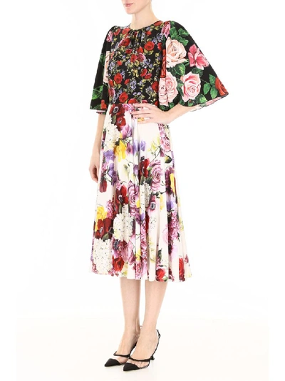 Shop Dolce & Gabbana Printed Dress In Fiorellini Fdo Nero (pink)