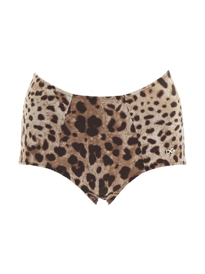 Shop Dolce & Gabbana Bikini Briefs In Leo New (brown)