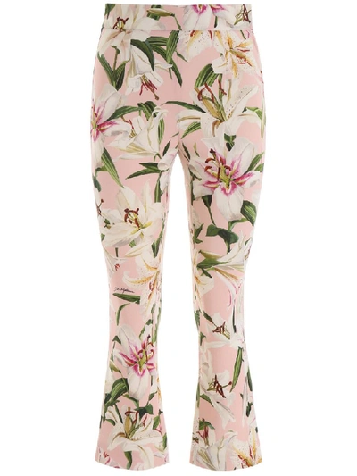 Shop Dolce & Gabbana Lily Print Trousers In Gigli Fdo Rosa (pink)