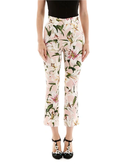 Shop Dolce & Gabbana Lily Print Trousers In Gigli Fdo Rosa (pink)