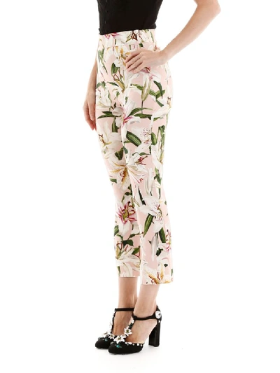 Shop Dolce & Gabbana Lily Print Trousers In Gigli Fdo Rosa (pink)