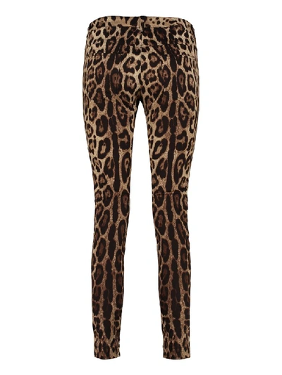 Shop Dolce & Gabbana Printed Stretch Cotton Trousers In Multicolor