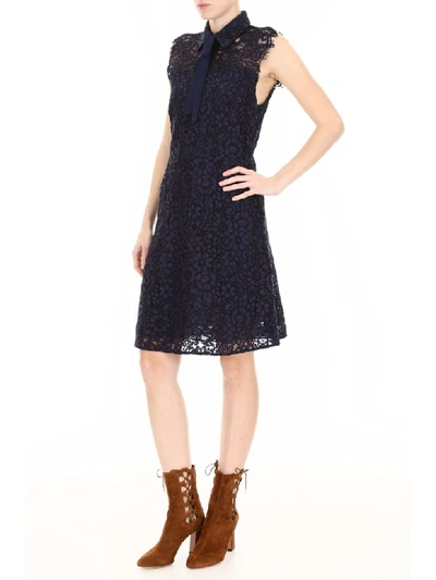 Shop Michael Michael Kors Lace Dress With Bow In True Navy (blue)