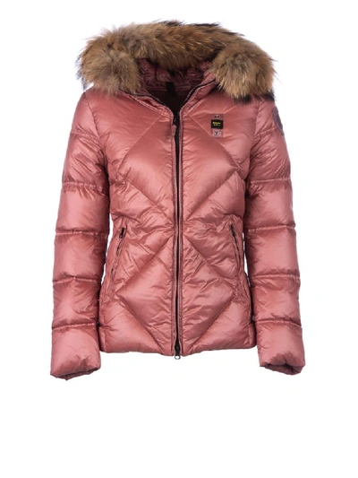 Shop Blauer Butler Quilted Jacket In Rosa