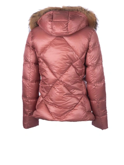 Shop Blauer Butler Quilted Jacket In Rosa