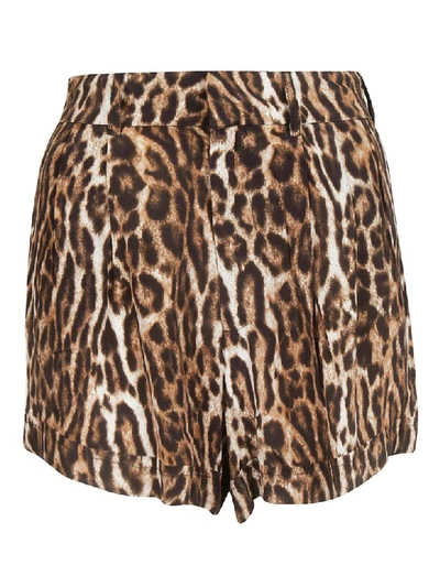 Shop R13 Leopard Printed Shorts In Brown