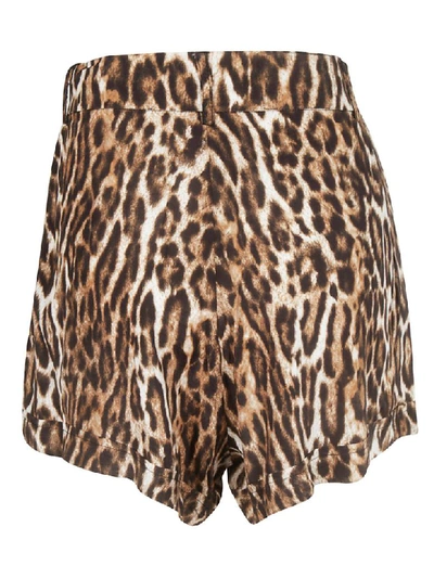 Shop R13 Leopard Printed Shorts In Brown