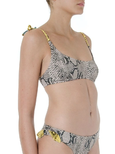 Shop Stella Mccartney Top Bikini Rock Python Print Textile Swimsuit In Brown