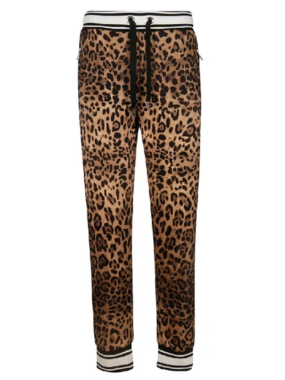 Shop Dolce & Gabbana Leopard Print Track Pants In Beige/black